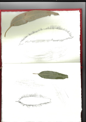 leaf print 2023-05-11-16-22-14-1